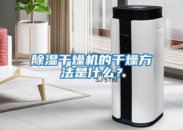 除濕干燥機的干燥方法是什么？