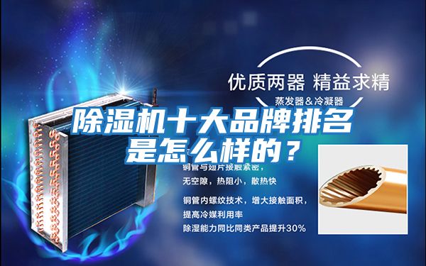 除濕機(jī)十大品牌排名是怎么樣的？
