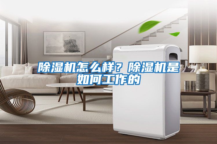 除濕機怎么樣？除濕機是如何工作的