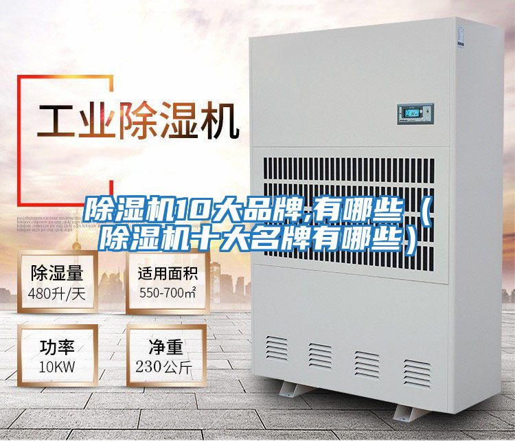 除濕機(jī)10大品牌,有哪些(除濕機(jī)十大名牌有哪些)