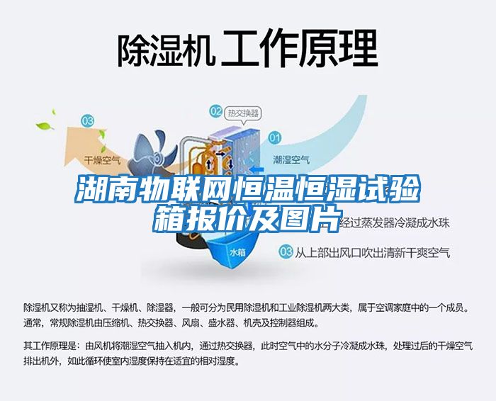湖南物聯(lián)網(wǎng)恒溫恒濕試驗(yàn)箱報價及圖片