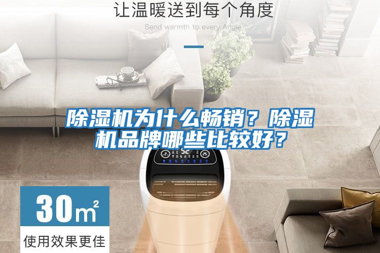 除濕機為什么暢銷？除濕機品牌哪些比較好？