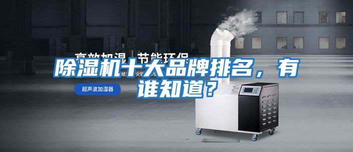 除濕機(jī)十大品牌排名，有誰知道？