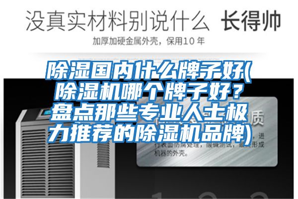 除濕國(guó)內(nèi)什么牌子好(除濕機(jī)哪個(gè)牌子好？盤(pán)點(diǎn)那些專業(yè)人士極力推薦的除濕機(jī)品牌)
