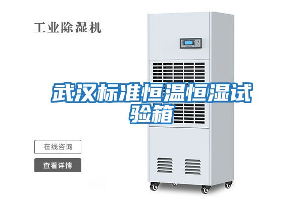 武漢標(biāo)準(zhǔn)恒溫恒濕試驗箱