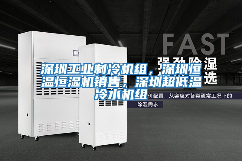 深圳工業(yè)制冷機組，深圳恒溫恒濕機銷售，深圳超低溫冷水機組