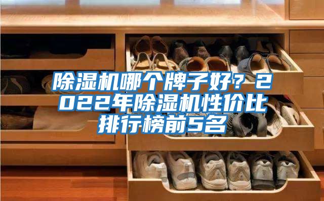 除濕機(jī)哪個牌子好?2022年除濕機(jī)性價比排行榜前5名