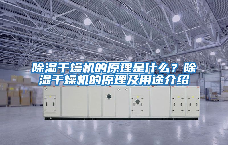 除濕干燥機的原理是什么？除濕干燥機的原理及用途介紹