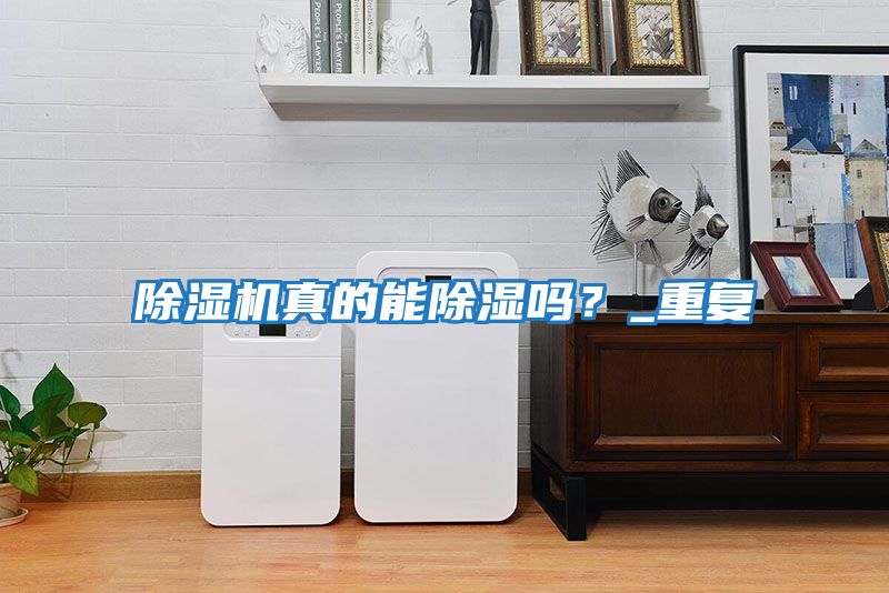 除濕機(jī)真的能除濕嗎？_重復(fù)