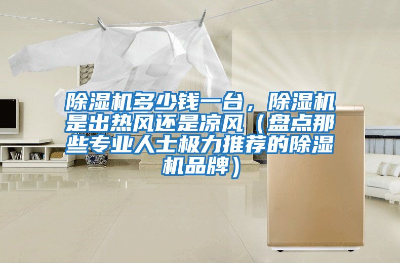 除濕機多少錢一臺，除濕機是出熱風還是涼風（盤點那些專業人士極力推薦的除濕機品牌）