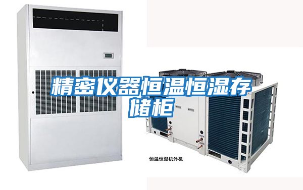 精密儀器恒溫恒濕存儲(chǔ)柜