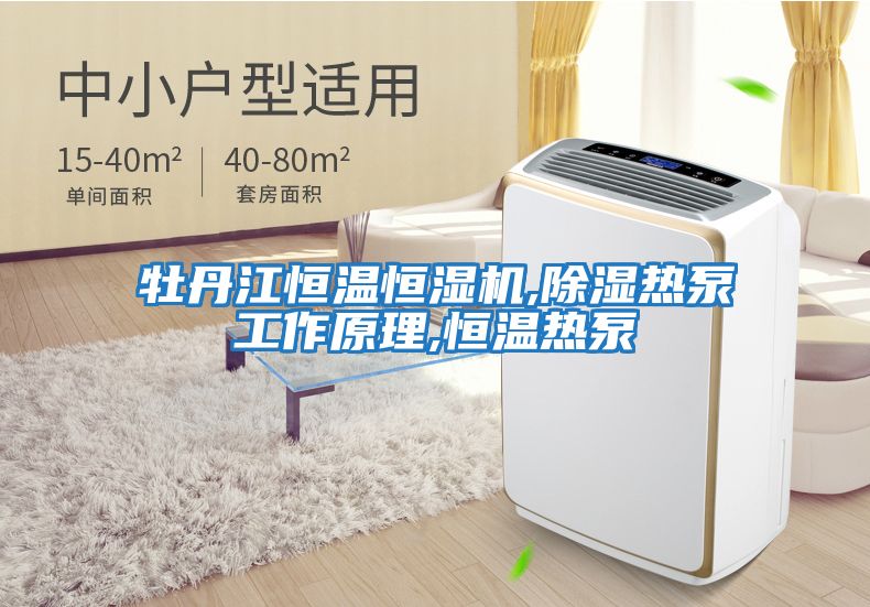 牡丹江恒溫恒濕機,除濕熱泵工作原理,恒溫?zé)岜?></div>
								<div   id=