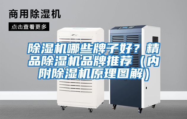 除濕機哪些牌子好？精品除濕機品牌推薦（內附除濕機原理圖解）