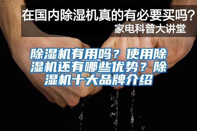 除濕機有用嗎？使用除濕機還有哪些優(yōu)勢？除濕機十大品牌介紹