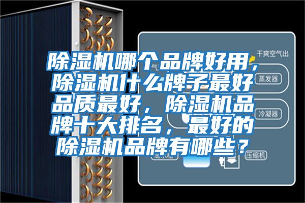 除濕機(jī)哪個(gè)品牌好用，除濕機(jī)什么牌子最好品質(zhì)最好，除濕機(jī)品牌十大排名，最好的除濕機(jī)品牌有哪些？