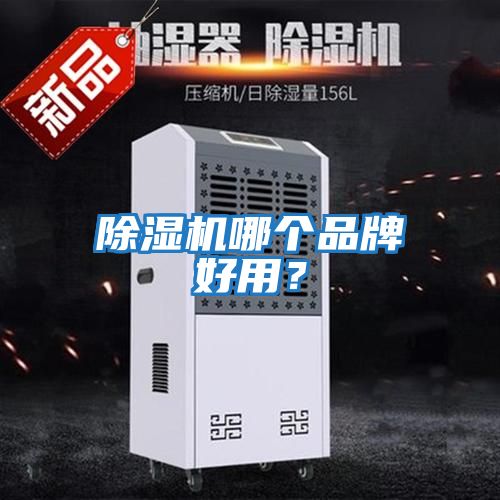 除濕機(jī)哪個(gè)品牌好用？