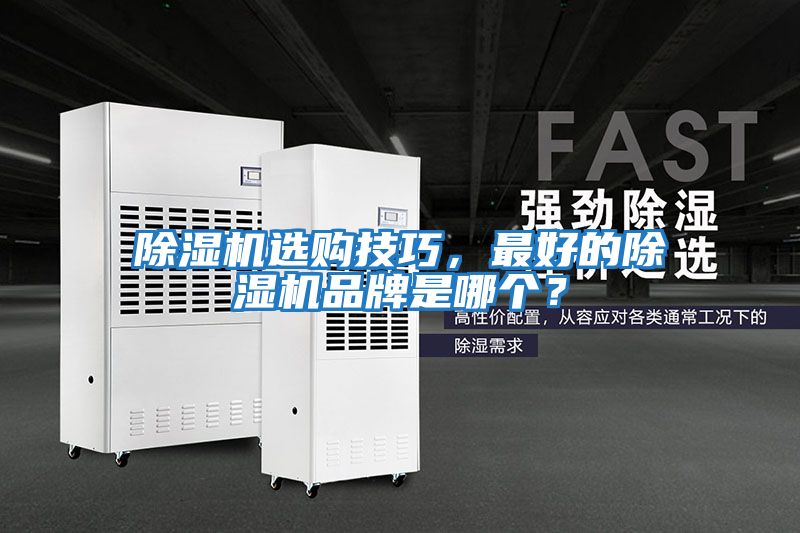 除濕機選購技巧，最好的除濕機品牌是哪個？