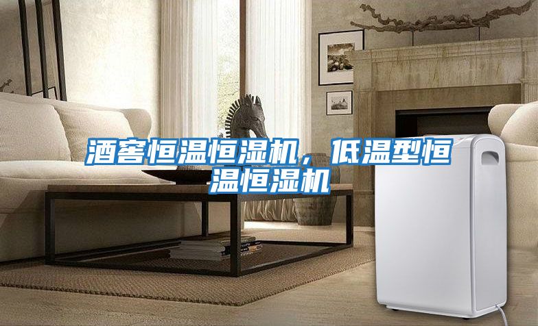 酒窖恒溫恒濕機，低溫型恒溫恒濕機