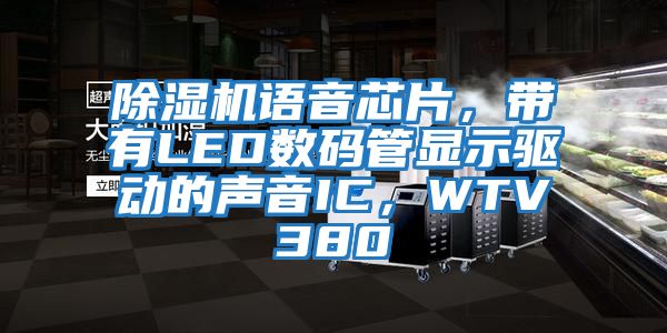 除濕機語音芯片,帶有LED數碼管顯示驅動的聲音IC,WTV380