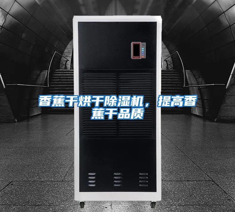 香蕉干烘干除濕機，提高香蕉干品質