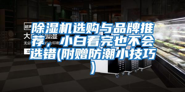 除濕機選購與品牌推薦，小白看完也不會選錯(附贈防潮小技巧)