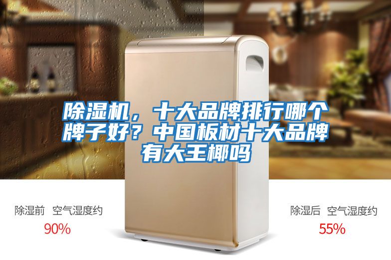 除濕機(jī)，十大品牌排行哪個牌子好？中國板材十大品牌有大王椰嗎