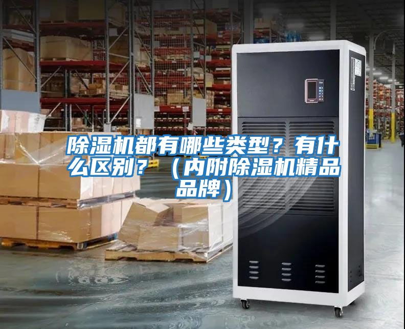 除濕機都有哪些類型？有什么區別？（內附除濕機精品品牌）