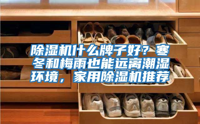 除濕機什么牌子好？寒冬和梅雨也能遠離潮濕環境，家用除濕機推薦