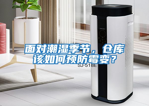 面對潮濕季節，倉庫該如何預防霉變？