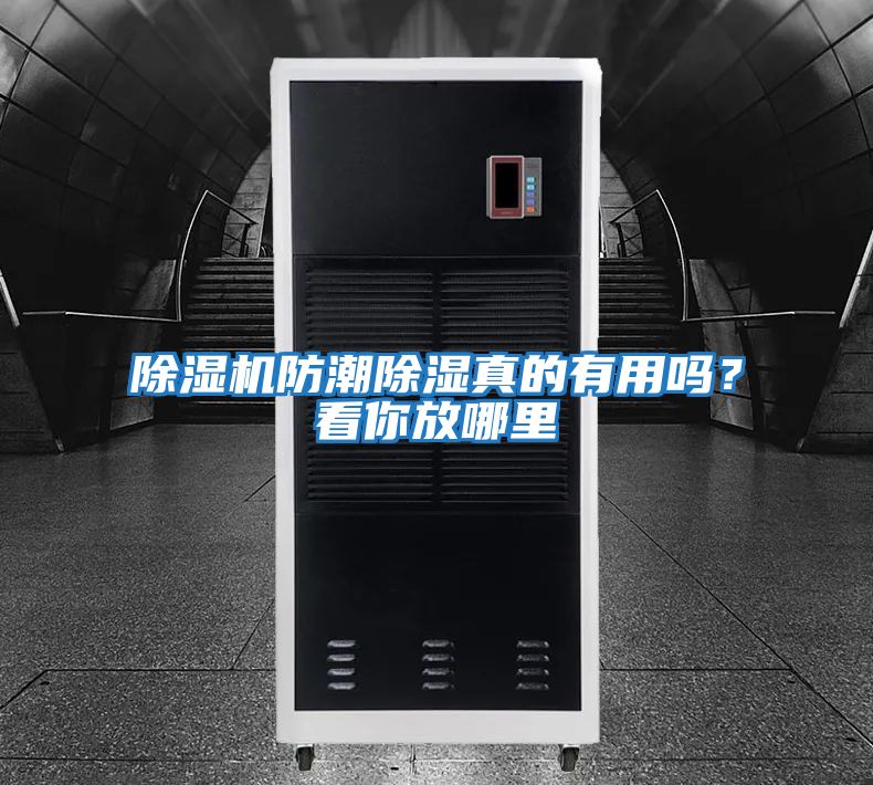 除濕機防潮除濕真的有用嗎？看你放哪里