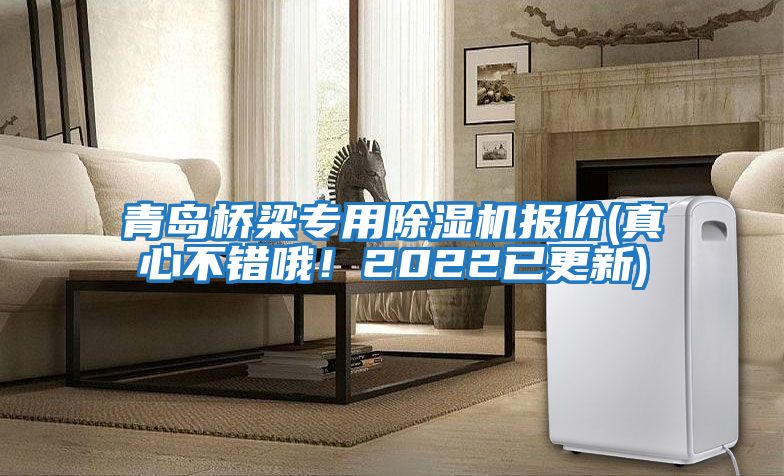 青島橋梁專用除濕機(jī)報(bào)價(jià)(真心不錯哦！2022已更新)