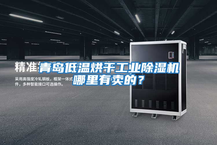 青島低溫烘干工業除濕機哪里有賣的？
