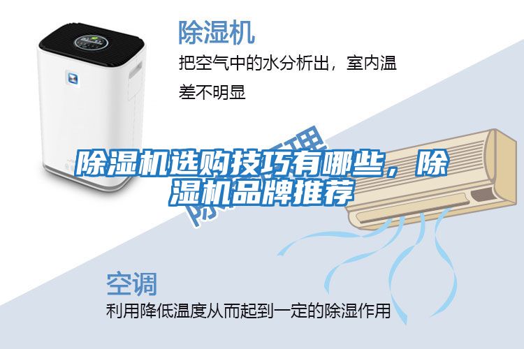 除濕機選購技巧有哪些，除濕機品牌推薦