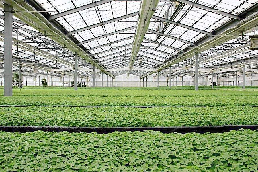 除濕器如何解決高濕度、多種危害的溫室除濕問題？